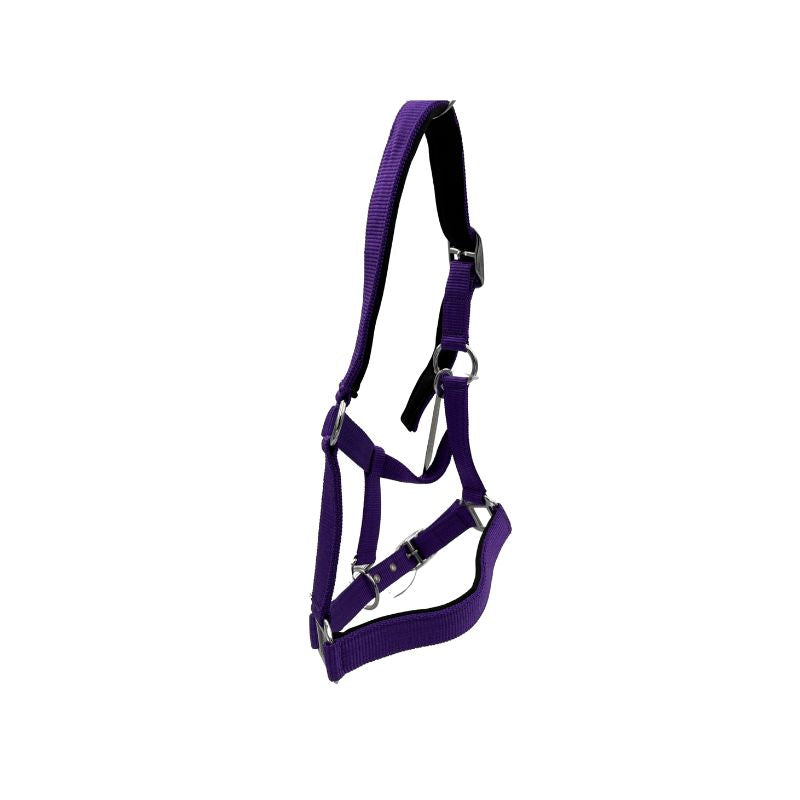 Indiana Neoprene Padded Nylon Halter