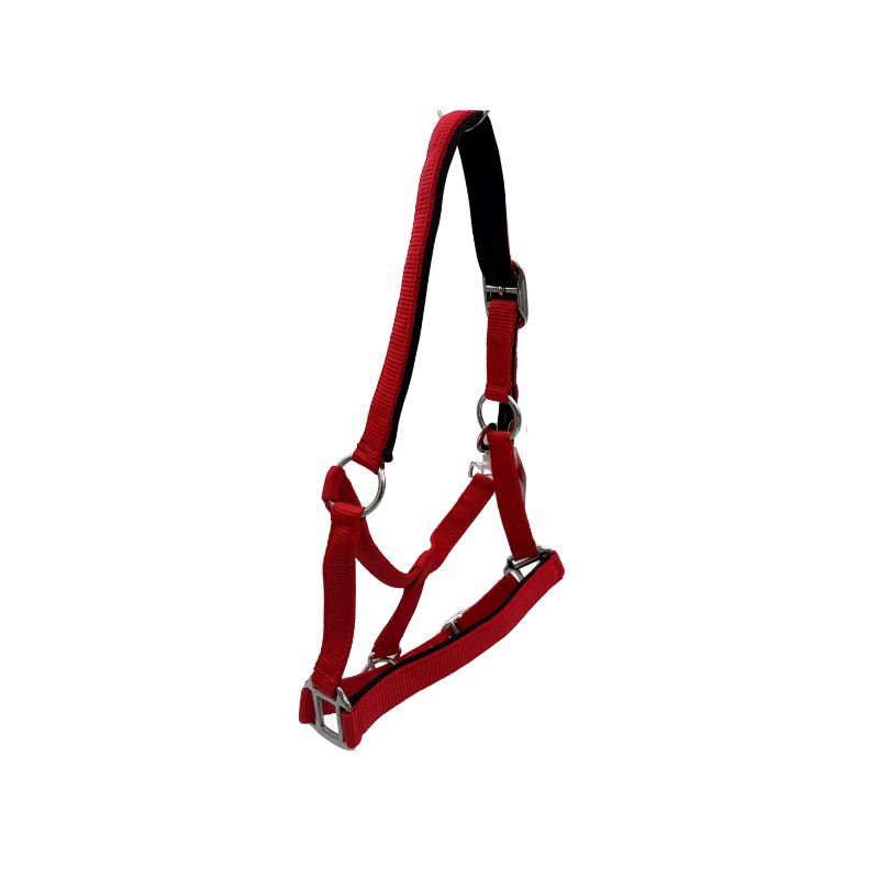 Indiana Neoprene Padded Nylon Halter