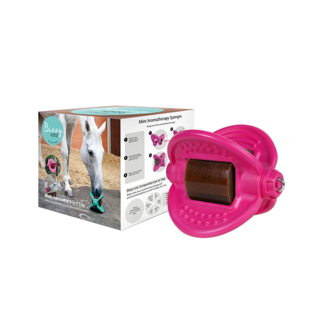 Bizzy Ball Horse Toy