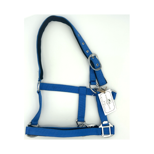 Blue_halter