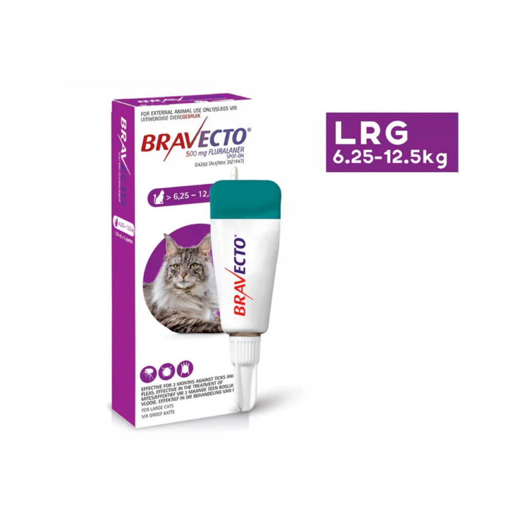 Bravecto Spot-on Cat