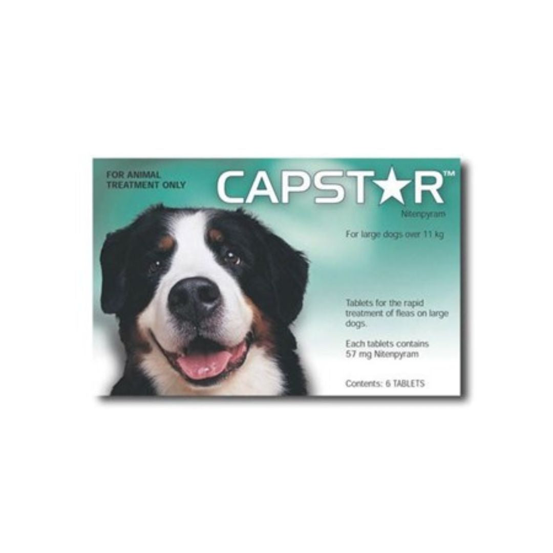 Capstar - Dogs over 11kg