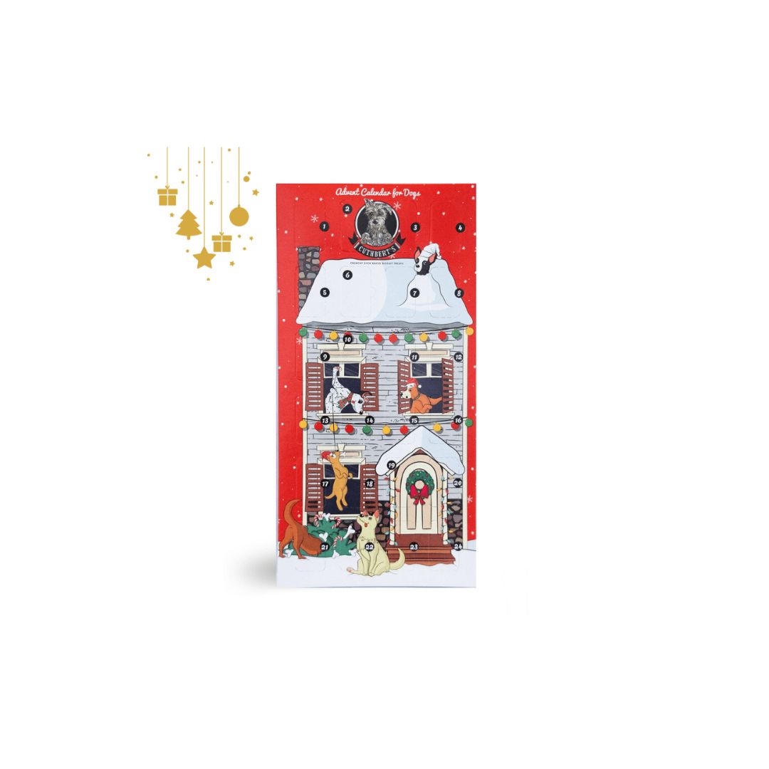 Cuthberts Advent Calendar For Dogs