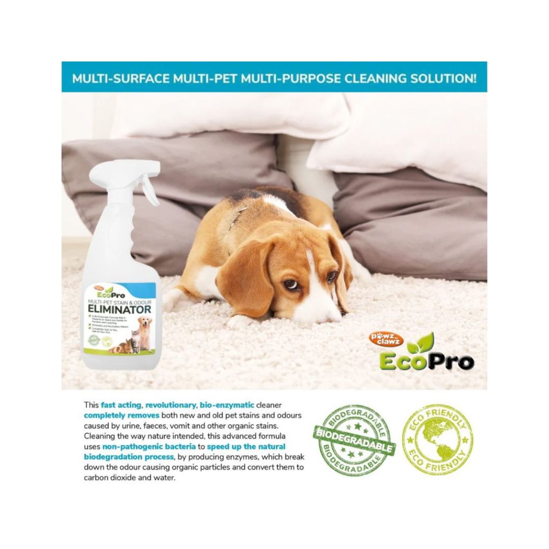 Eliminator Stain & Odour Remover