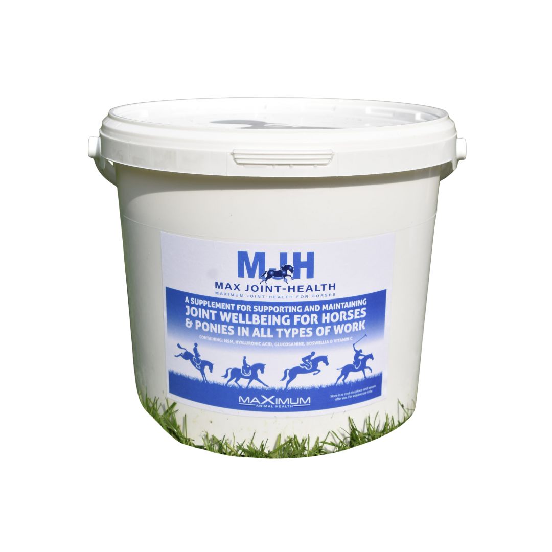 Max Joint Health 750g