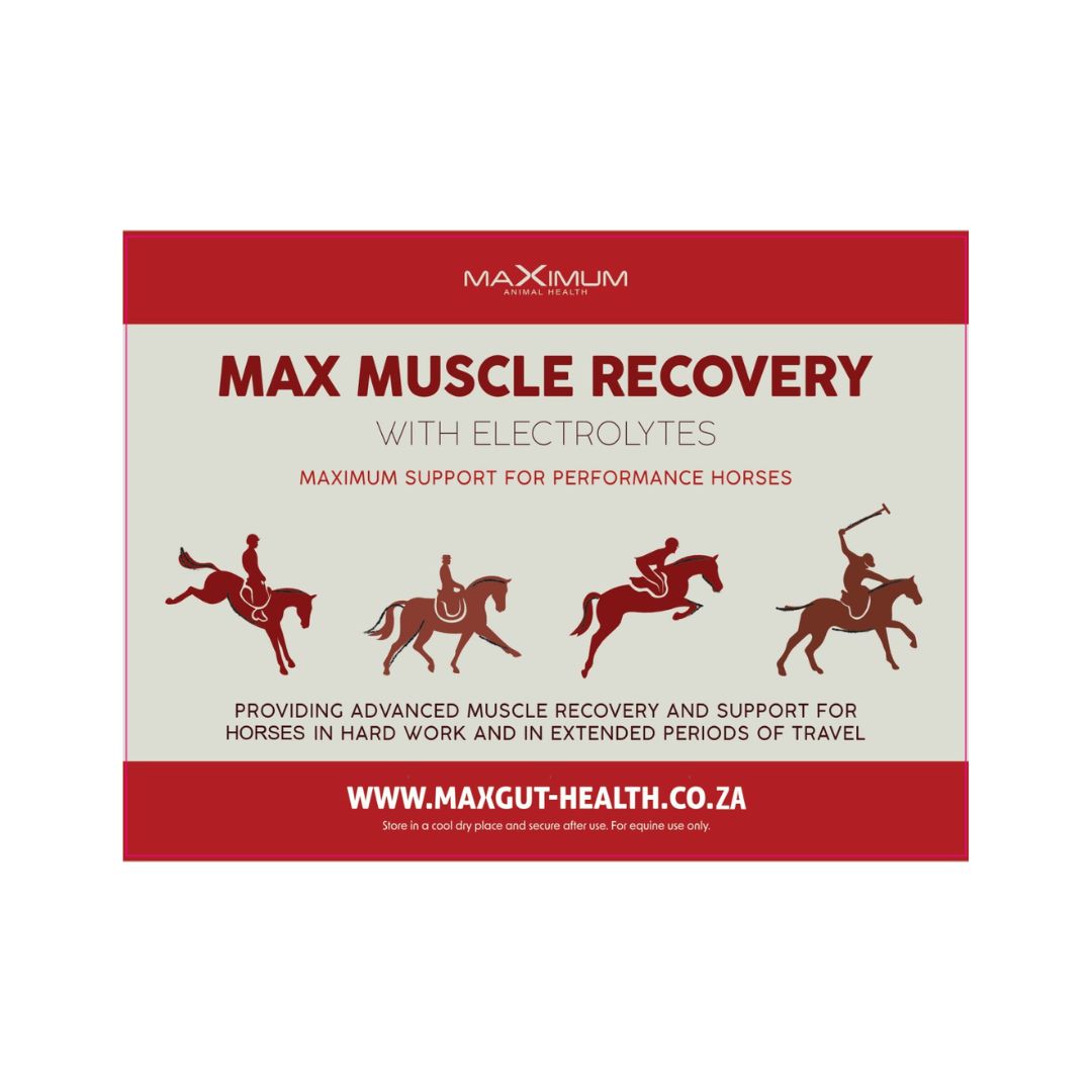 Max Muscle Recovery