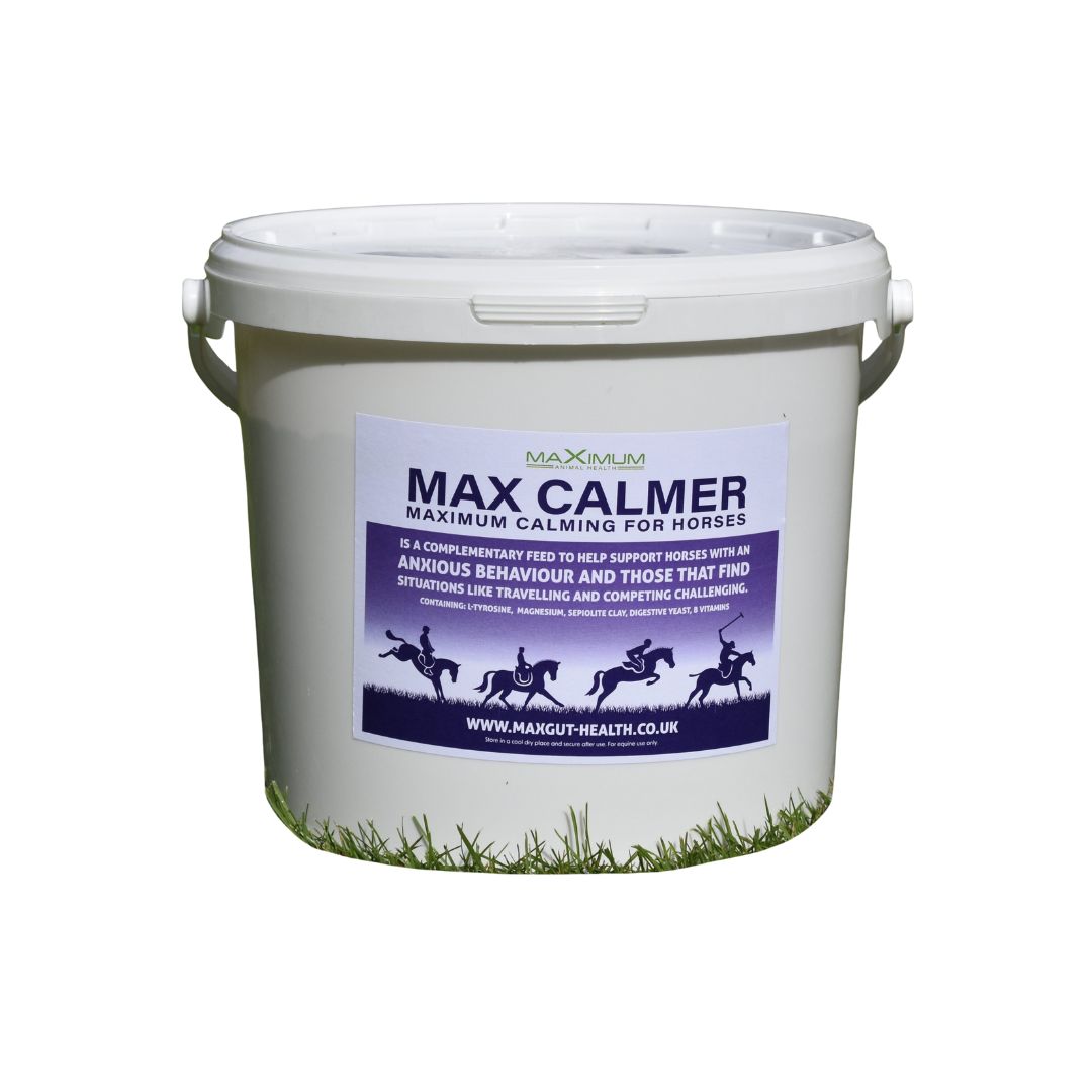 Max Calmer