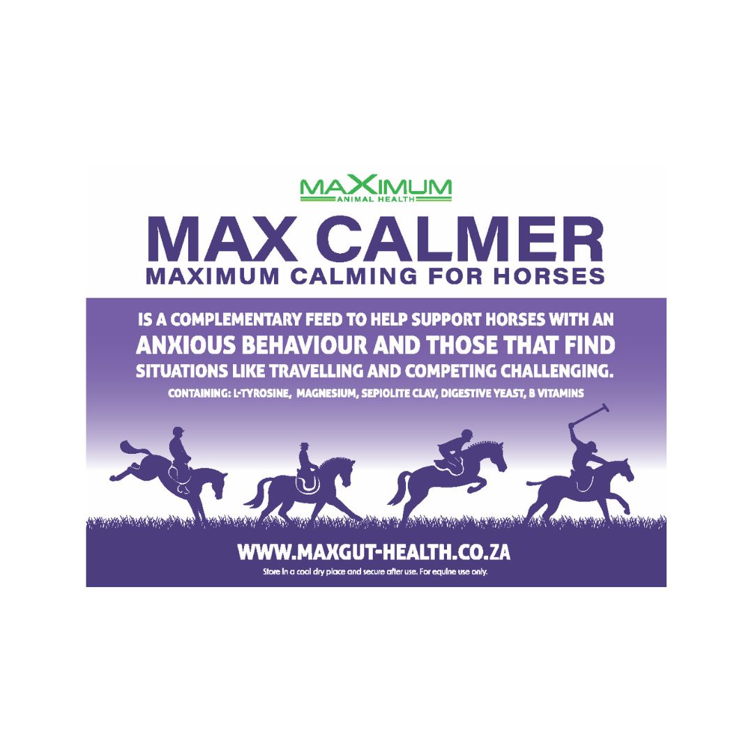 Max Calmer
