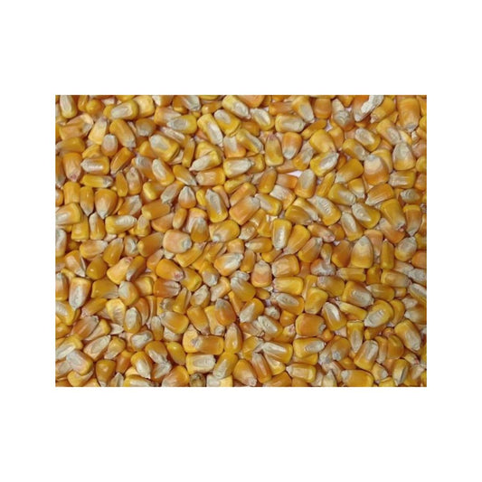 Maize Whole