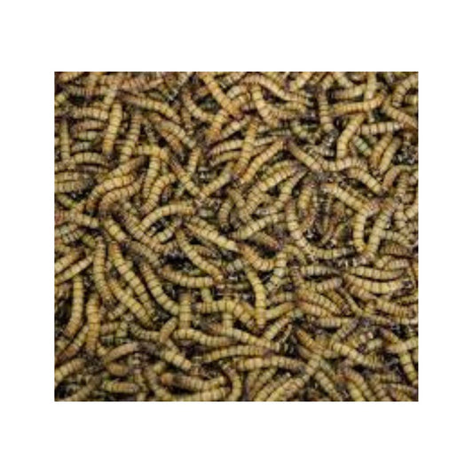 Mealworms 150g