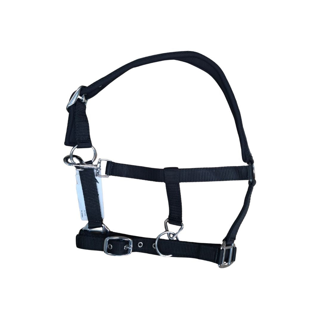 Indiana Neoprene Padded Nylon Halter