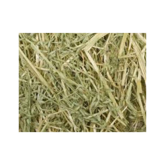 Oat Hay - Small Bag