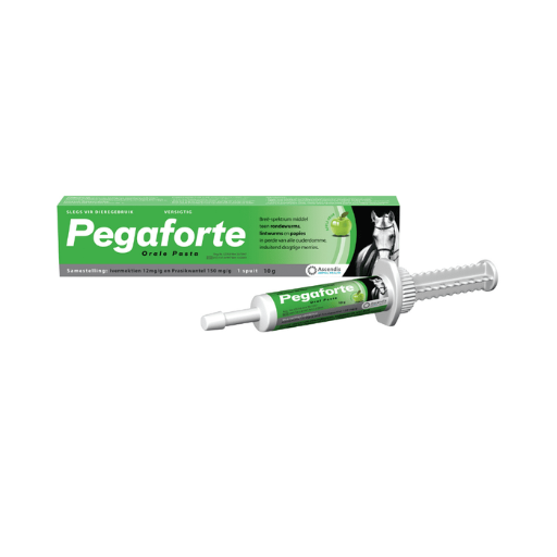 Pegaforte Paste 10g apple-flavoured horse dewormer for roundworms tapeworms and bots