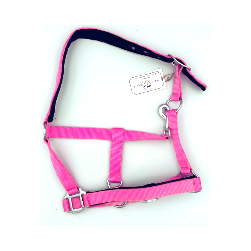 Pink_head_collar