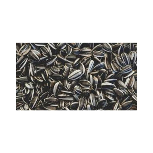 Sunflower Seeds