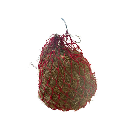 Teff Haynet