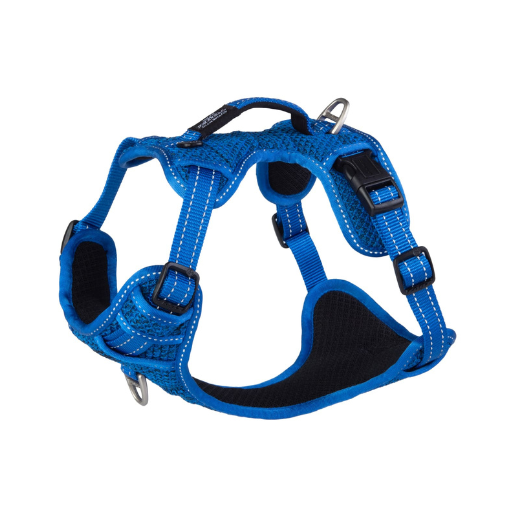 Utility Explore Harness Small – Blue