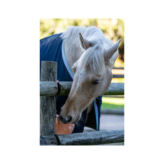W&W Essentials Himalayan Salt Lick 3-4kg
