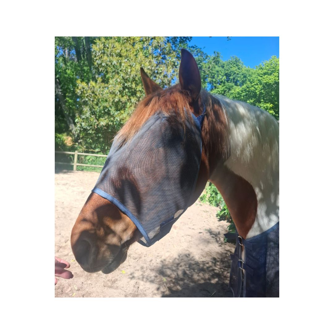 Rugged-Up Fly Mask - Without Nose