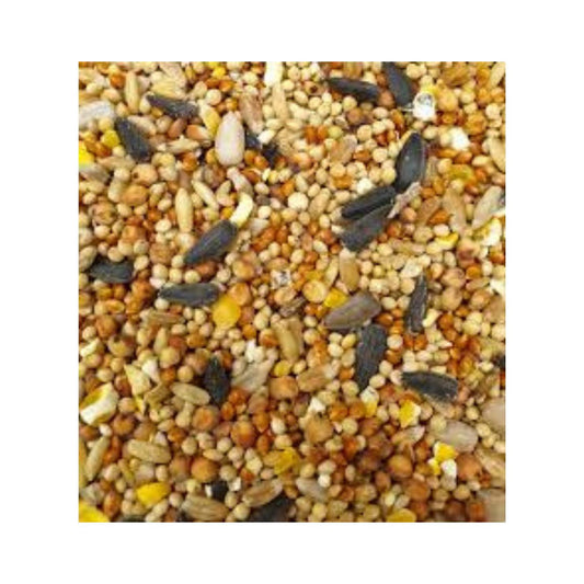 Wild Bird Seed