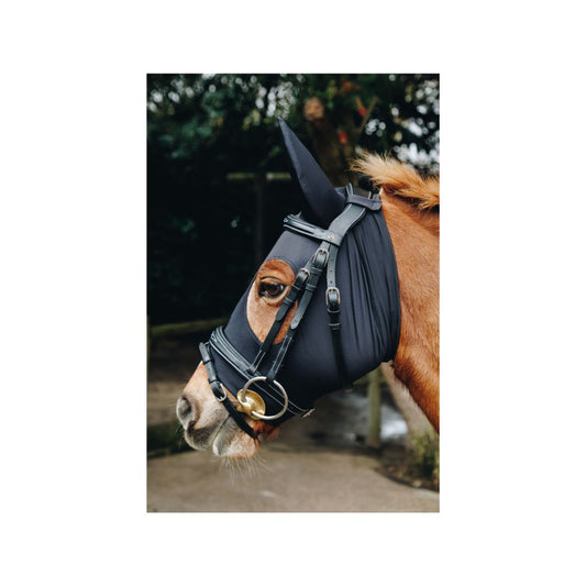 Rugged-Up Compression Calming Mask fitted on horse