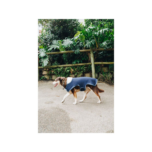 Rugged-Up Dogs Fleece Blanket