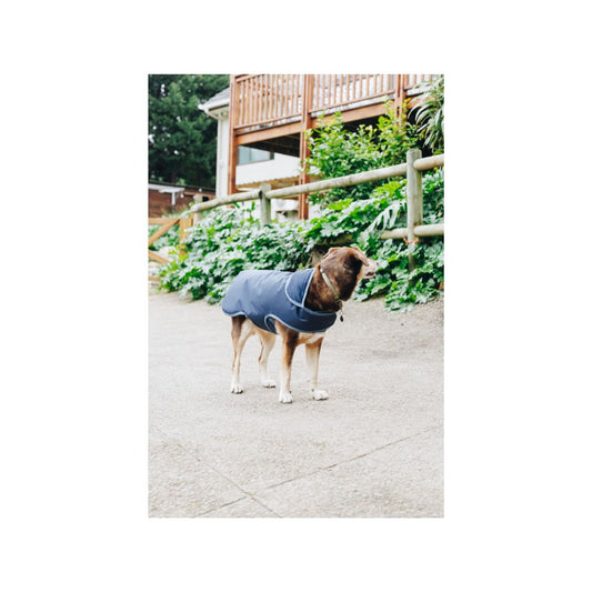 Rugged-Up Dog Rain Duvet