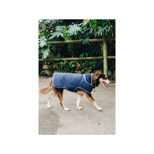 Rugged-Up Dog Rain Duvet
