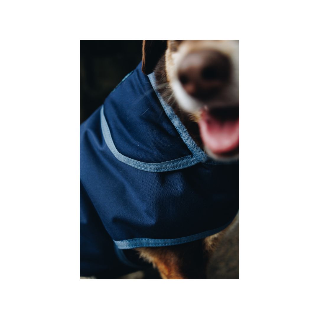 Rugged-Up Dog Rain Duvet