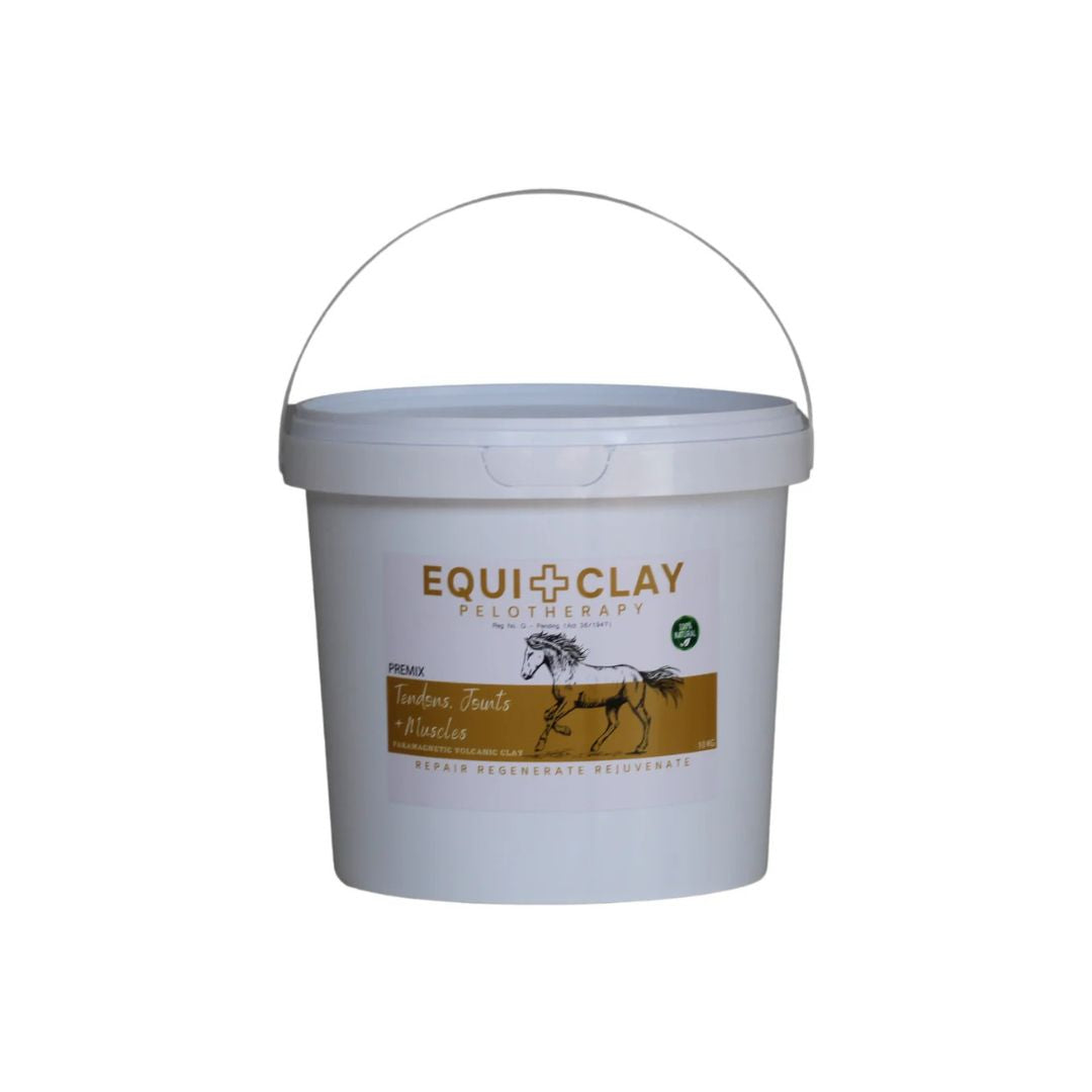 EquiClay Tendons, Joints and Muscle Clay 2kg