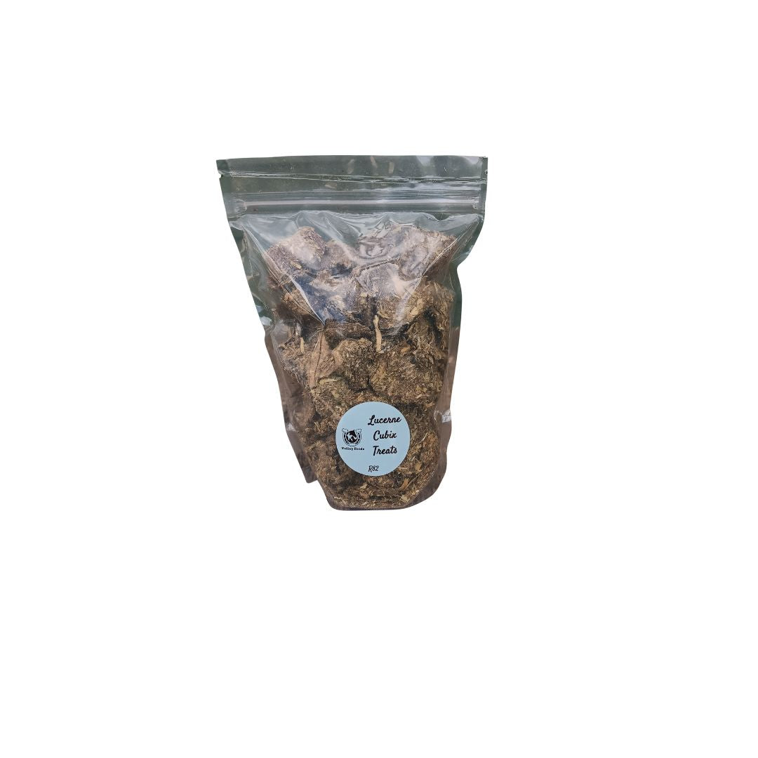 Lucerne Cubix Treats