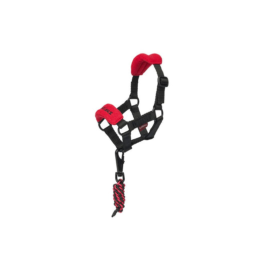 LeMieux Toy Pony Headcollar - Chilli Red