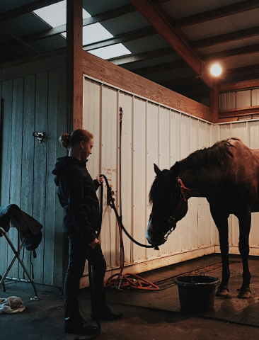 Stable