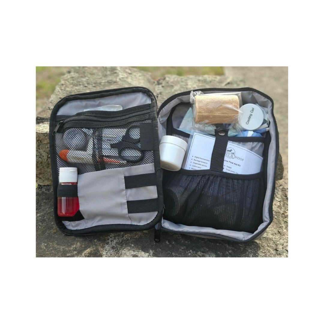 Equine first aid kit for horse owners with thermometer, bandages, wound dressings, gauze and topical care products.