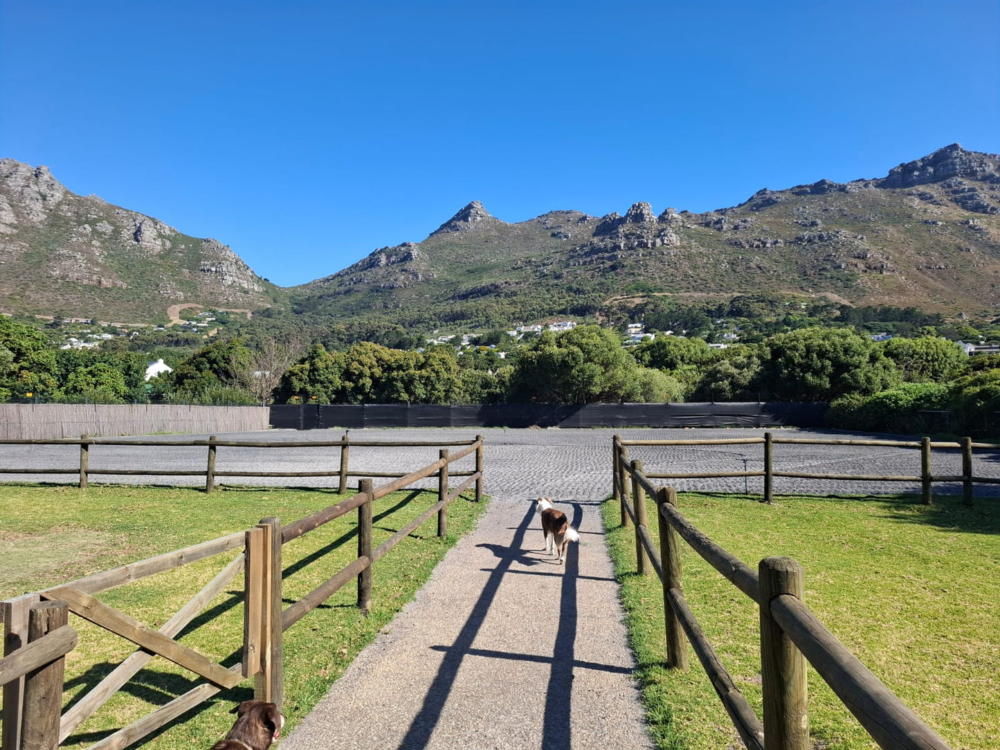 Dieu Donne Stables Arena Booking