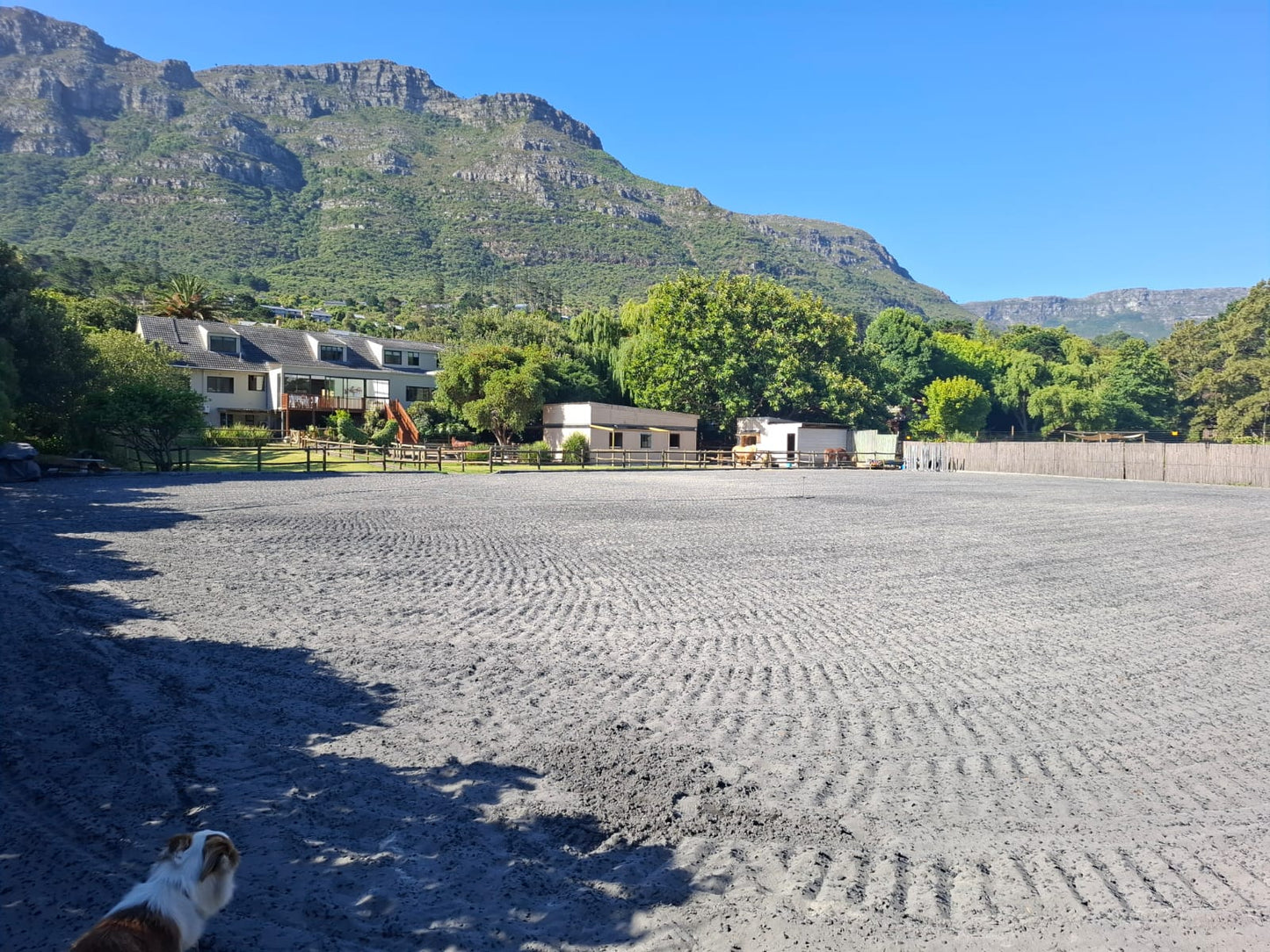 Dieu Donne Stables Arena Booking