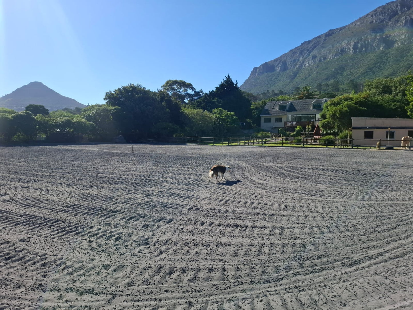 Dieu Donne Stables Arena Booking