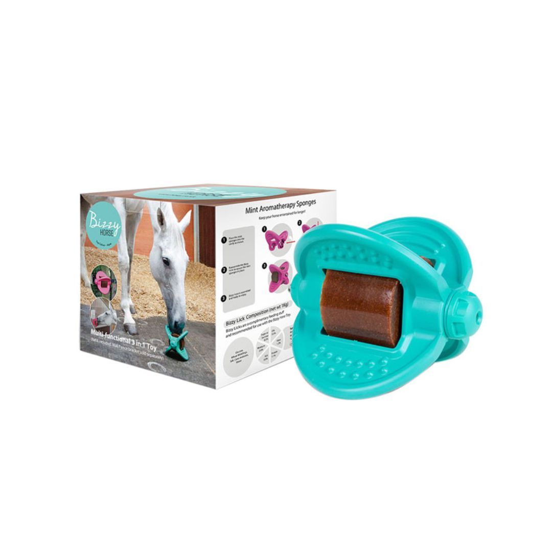 Bizzy Ball Horse Toy