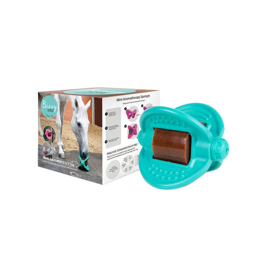 Bizzy Ball Horse Toy