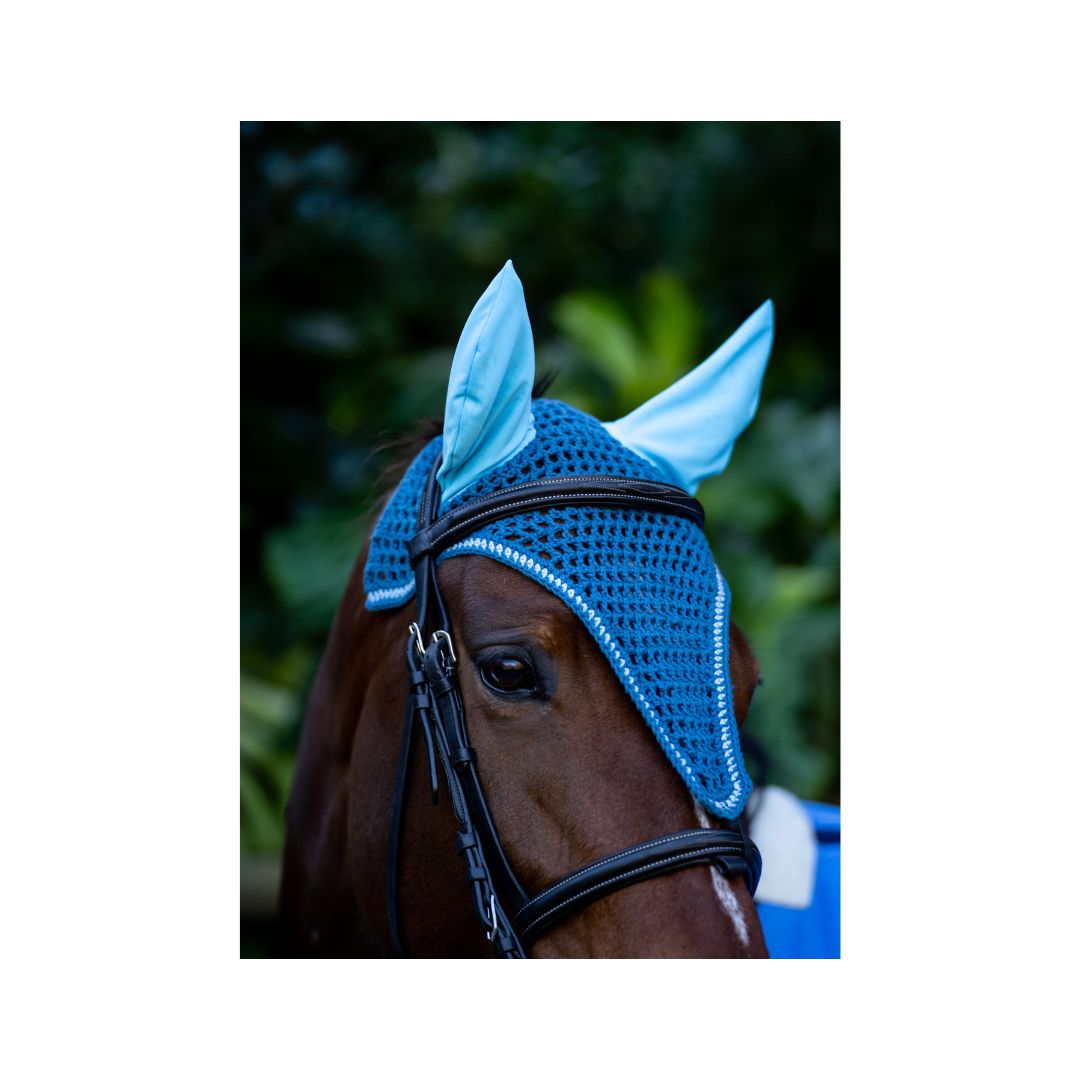 Horse wearing Rugged-Up Tie Down Ear Veil during training