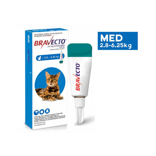 Bravecto Spot-On flea and tick treatment for medium cats in the appropriate weight range with up to 12 weeks protection
