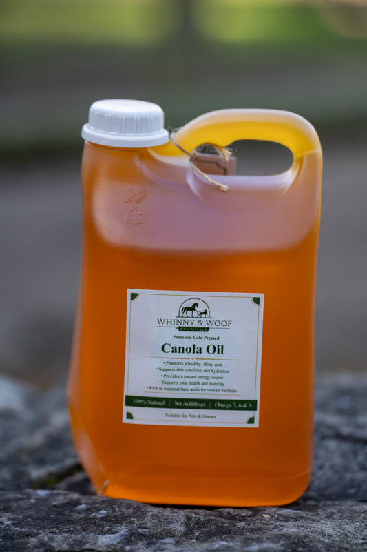 Premium cold pressed canola oil for horses with Omega-3, Omega-6, Omega-9 and Vitamin E