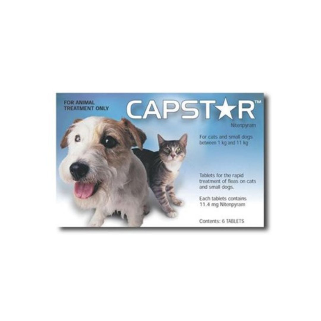 Capstar nitenpyram flea treatment for dogs and cats 1 to 11kg
