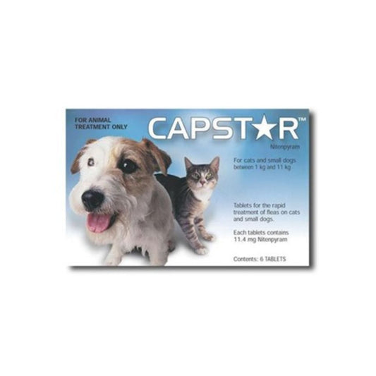 Capstar nitenpyram flea treatment for dogs and cats 1 to 11kg