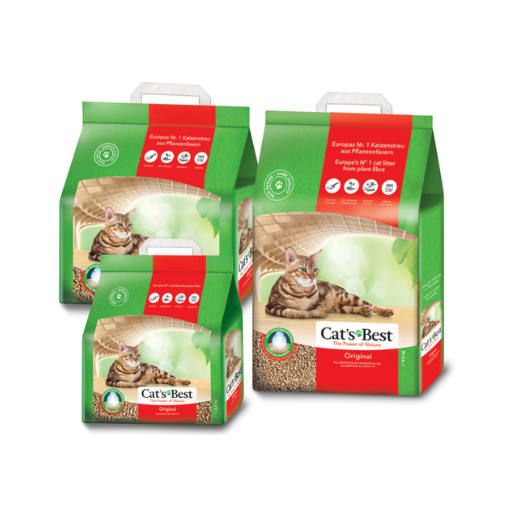 Cats best original Correct