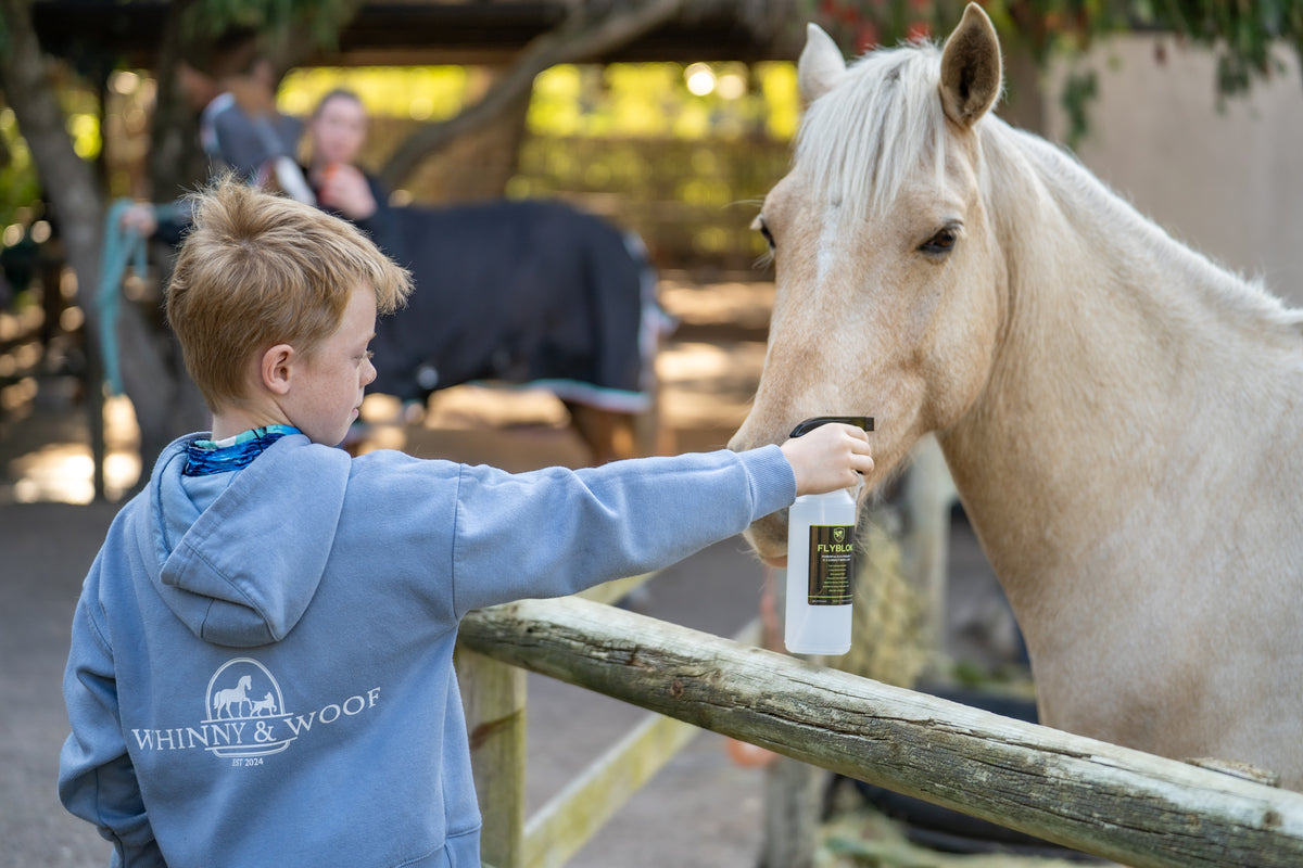 Horse being sprayed with FlyBlok citronella insect repellent to help deter flies and biting insects
