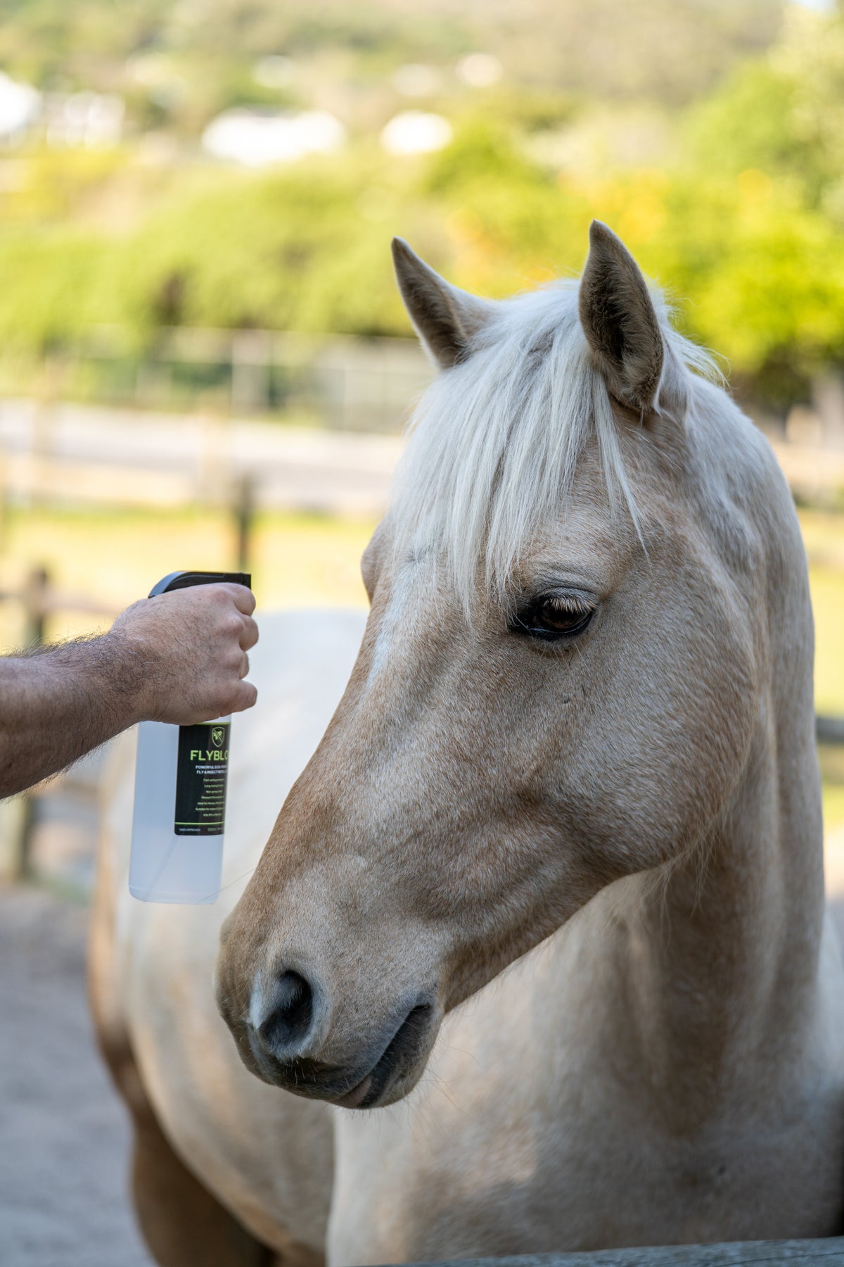 Applying FlyBlok insect repellent spray to a horse for everyday fly and biting insect protection