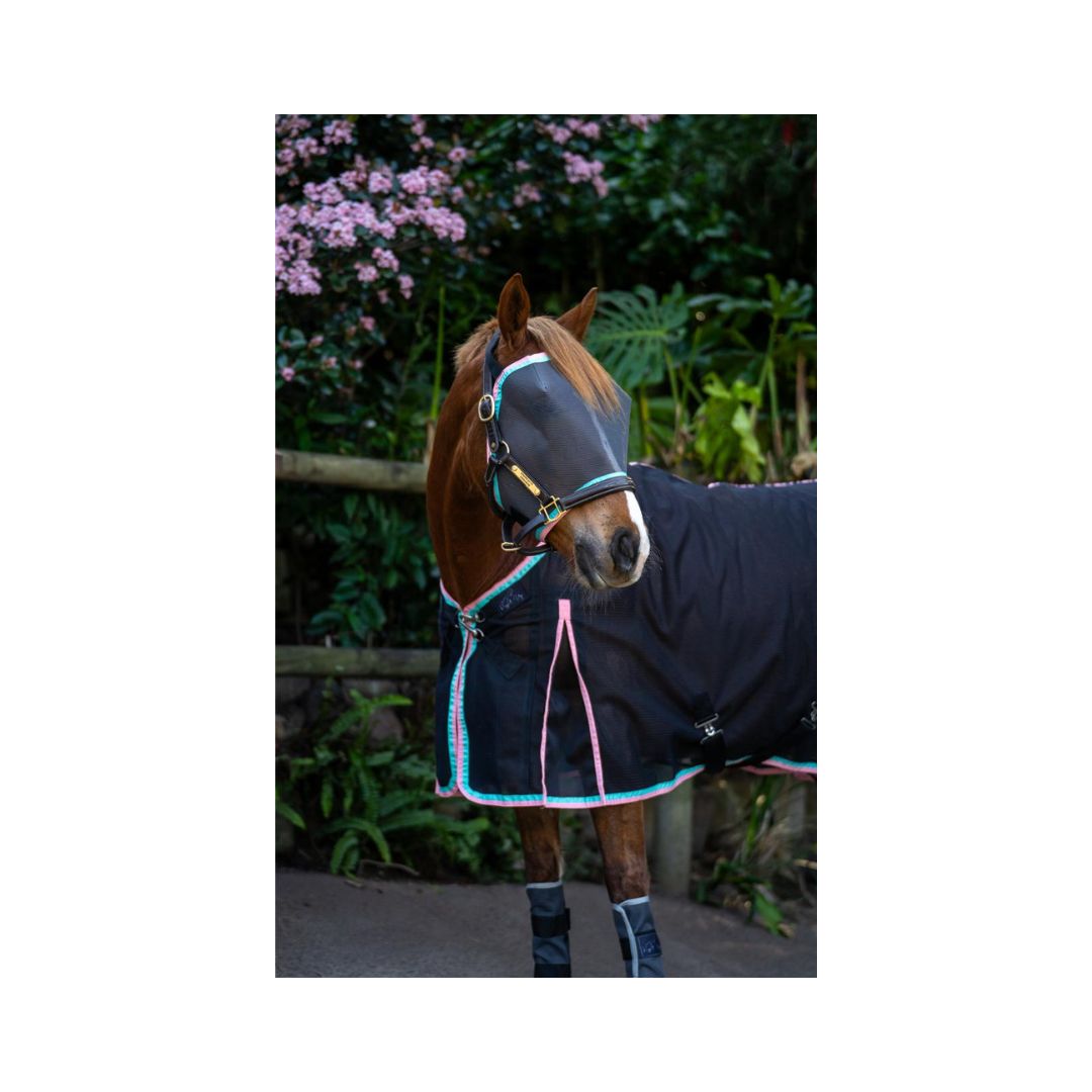 Lightweight Rugged-Up horse flysheet for summer turnout and paddock use