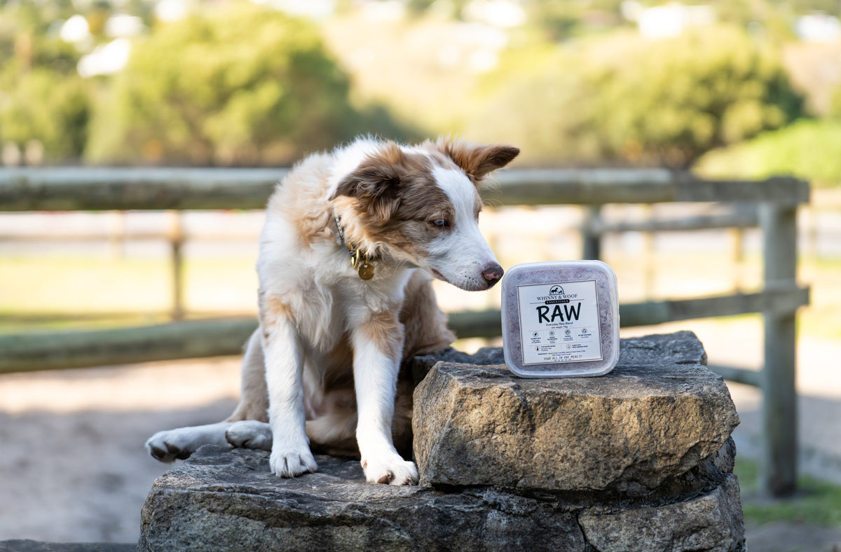 W&W Essentials RAW natural raw dog food for dogs in Cape Town South Africa