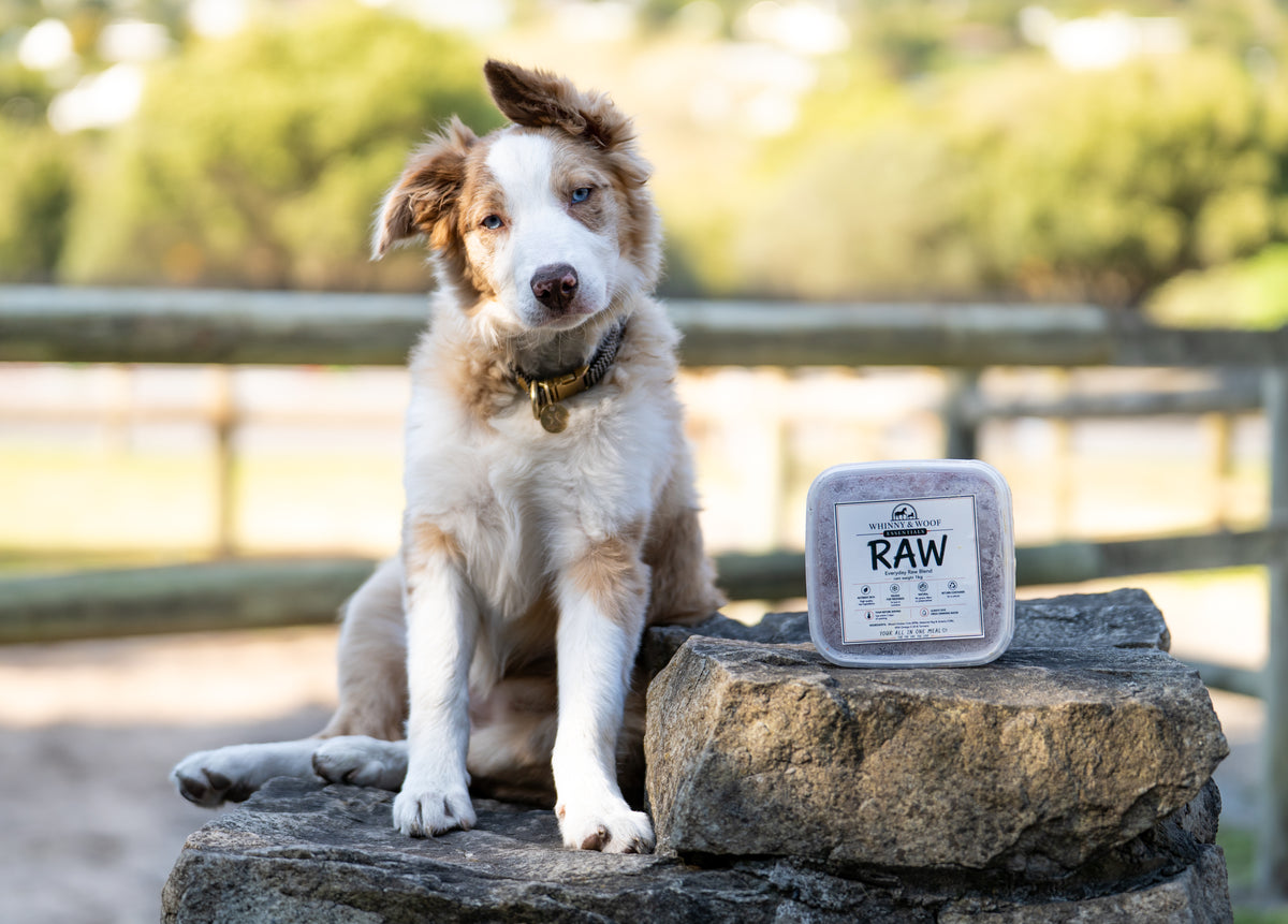 W&W Essentials RAW Everyday Raw Blend fresh frozen dog food with chicken and vegetables